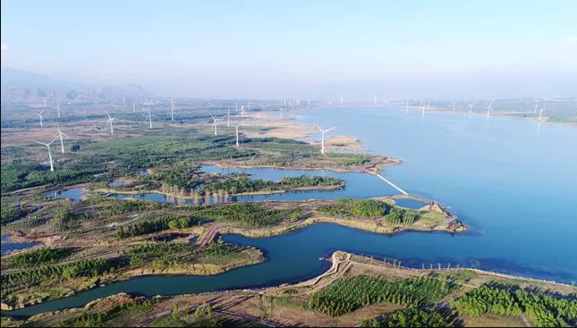中國(guó)林產(chǎn)協(xié)發(fā)布推進(jìn)&ldquo;雙碳&rdquo;戰(zhàn)略行動(dòng)方案